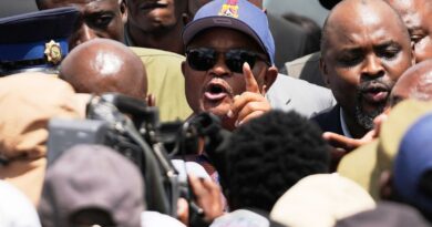 South African police minister suspended over corruption allegations