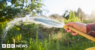South East Water hosepipe and sprinkler ban comes into force