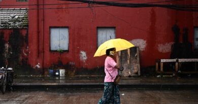 Southeast Asia’s foreign assistance to fall more than $2bn next year