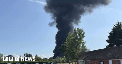 Southend Airport plane crash: Flights cancelled after incident