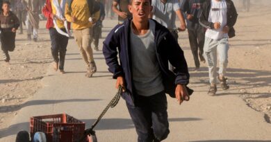 Starving Palestinians pepper-sprayed at GHF aid site in Gaza, video shows