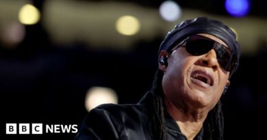 Stevie Wonder: 'I'll keep playing as long as I breathe'