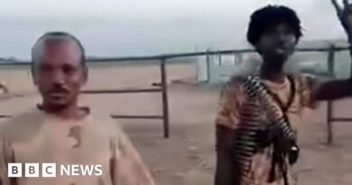 Sudan civil war: RSF storms cattle market and prison in 'death trap' city