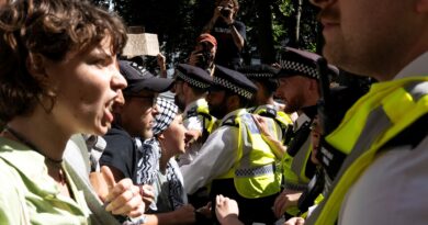 Supporters of banned Palestine Action group arrested at London protest