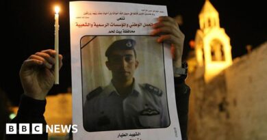 Swedish terrorist sentenced over burning alive of Jordanian pilot