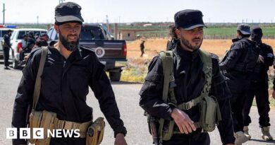 Syria: Clashes between Druze and Bedouin in south kill dozens