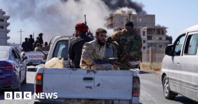 Syria: Israel bombs forces entering Druze city after deadly clashes