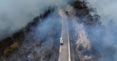 Syria fights fires for fourth day as Jordan sends help