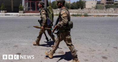 Syria presidency to send new force to halt clashes in south