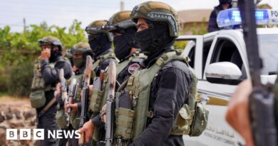 Syria sees 'cautious calm' in Suweida after deadly clashes