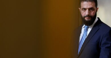 Syria to hold first parliamentary elections since al-Assad’s fall