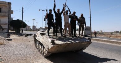 Syrian Druze say govt mission of peace devolved into rampage