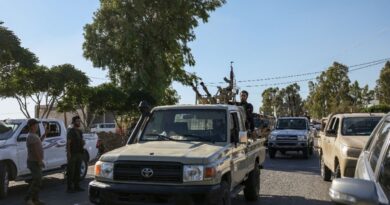 Syrian forces enter Druze city after deadly clashes