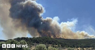 Ten workers killed battling wildfires in Turkey