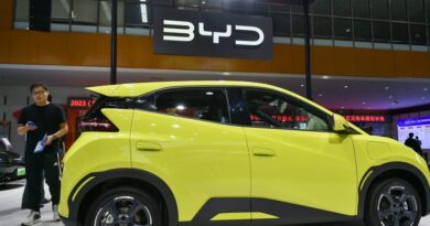 Tesla competitor BYD axes Mexico factory plans