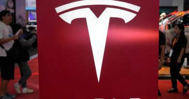 Tesla global sales fall amid Musk backlash and pressure on EV market