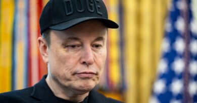 Tesla sales cratered in California for 7 straight quarters while rivals Toyota and Honda surge, report shows
