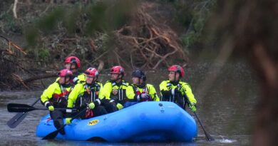 Texas floods: How rumour of two girls rescued from tree set off false hopes