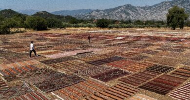 Thousands of carpets sunbathe at Turkish resort