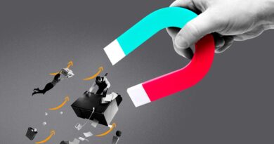 TikTok poached Amazon employees to jump-start its US business. Now it's doubling down on its Chinese roots.