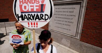 A protester holds up a sign that reads: "Hands off Harvard"
