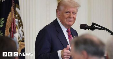 Trump admin asks court to release Jeffrey Epstein grand jury docs