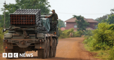Trump calls on Thailand and Cambodia to cease fire and talk trade