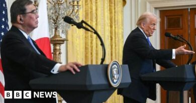 Trump says US has struck trade deal with Japan