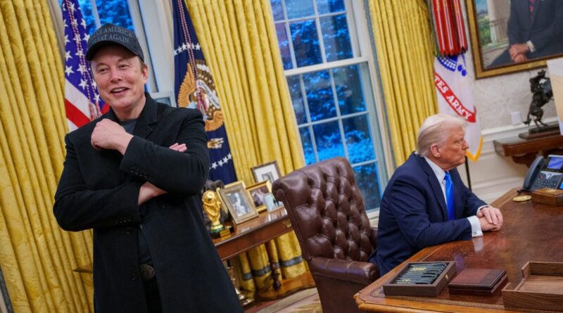 Trump suggests DOGE should 'take a good, hard look' at government contracts with Musk's companies