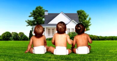 Trump wants a baby boom in America. A housing boom could make that happen.