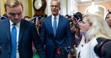 Trump’s ‘Big, Beautiful Bill’ passes Senate: What’s in it, who voted how?