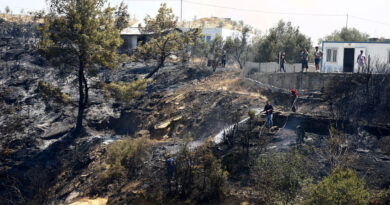 Turkey evacuates thousands as firefighters battle wildfires
