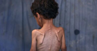 UK, France, Germany say Gaza 'humanitarian catastrophe must end now'