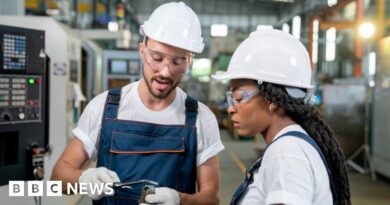 UK GDP: Rachel Reeves disappointed after economy shrinks