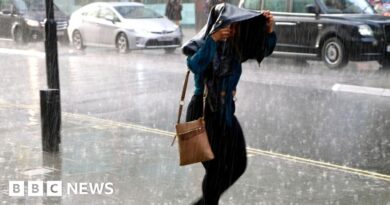 UK weather: Amber warning as thunderstorms set to bring flash floods