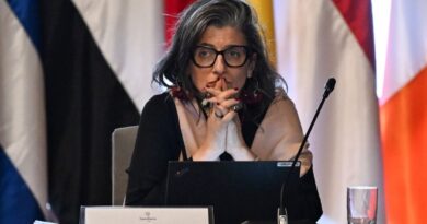 UN expert on Palestinians says US sanctions are a 'violation' of immunity