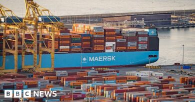 US-EU tariff deal a big Trump win but not a total defeat for Brussels