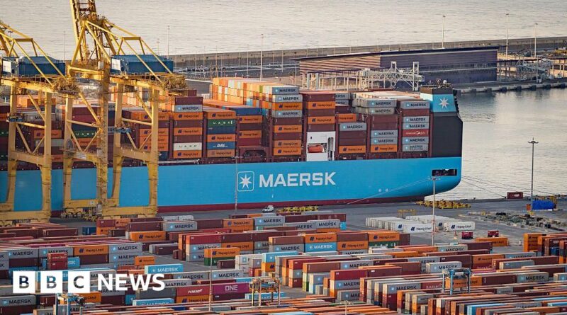 US-EU tariff deal a big Trump win but not a total defeat for Brussels