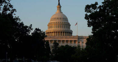 US Senate rejects bids to block arms sales to Israel over Gaza