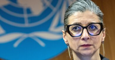 US sanctions UN expert Albanese over Israel criticism