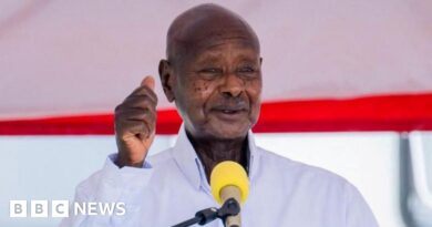 Uganda's Yoweri Museveni endorsed as 2026 presidential candidate by National Resistance Movement