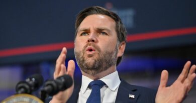 Vice President JD Vance is 'optimistic' about AI automating American jobs