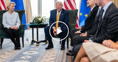 Video: U.S. and Europe Reach Preliminary Trade Deal With 15% Tariffs