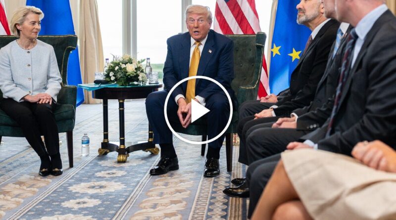 Video: U.S. and Europe Reach Preliminary Trade Deal With 15% Tariffs