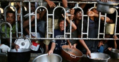 WHO says malnutrition reaching 'alarming levels' in Gaza