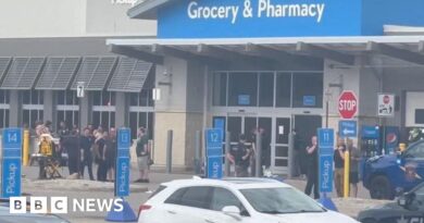 Walmart stabbing in Michigan leaves 11 injured