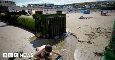 Water company sewage pollution to halve by 2030, minister pledges