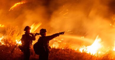 A pair of firefighters stand silhouetted against a burning blaze at night: One points.