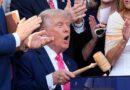 Which states Trump's Medicaid changes could impact most