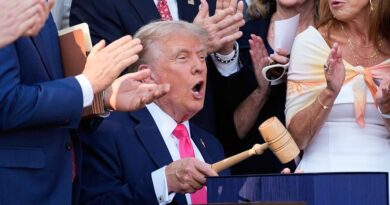 Which states Trump's Medicaid changes could impact most